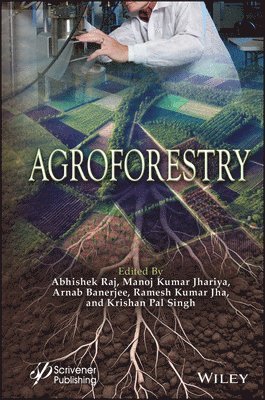 Abhishek Raj, Manoj Kumar Jhariya, Arnab Banerjee, Ramesh Kumar Jha, Krishan Pal Singh - Agroforestry, Inbunden