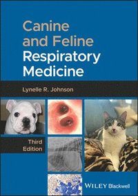 bokomslag Canine and Feline Respiratory Medicine