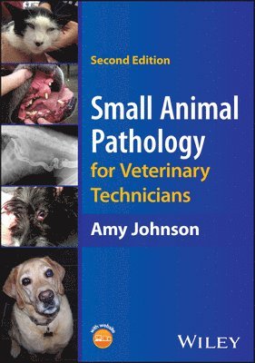 Amy Johnson - Small Animal Pathology for Veterinary Technicians, Häftad