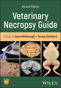 bokomslag Veterinary Necropsy Guide