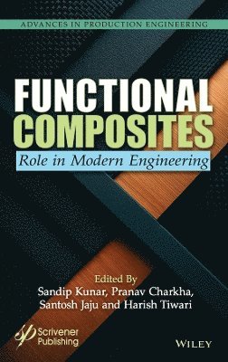 bokomslag Functional Composites