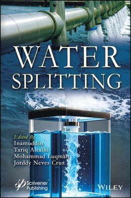Inamuddin, Tariq Altalhi, Mohammad Luqman, Jorddy Neves Cruz - Water Splitting, Inbunden