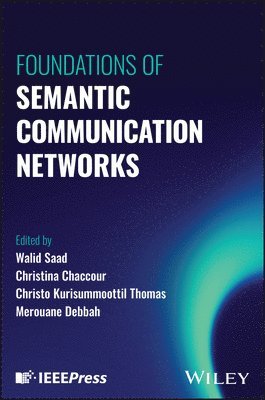 Foundations of Semantic Communication Networks 1