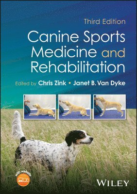 bokomslag Canine Sports Medicine and Rehabilitation