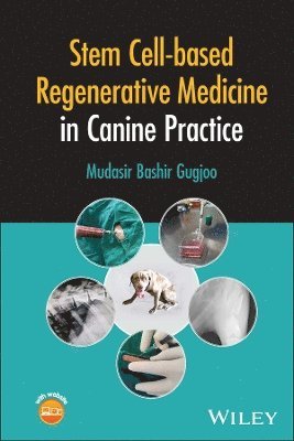 bokomslag Stem Cell-based Regenerative Medicine in Canine Practice