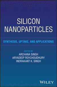 bokomslag Silicon Nanoparticles: Synthesis, Uptake and Appli cations