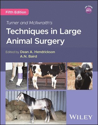 bokomslag Turner and McIlwraith's Techniques in Large Animal Surgery