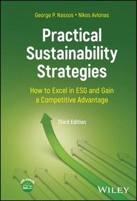 bokomslag Practical Sustainability Strategies