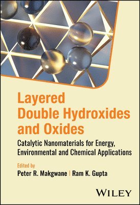 Peter R. Makgwane, Ram K. Gupta - Layered Double Hydroxides and Oxides, Inbunden