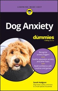 bokomslag Dog Anxiety For Dummies