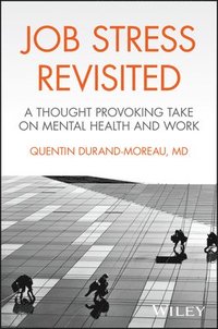 bokomslag Job Stress Revisited