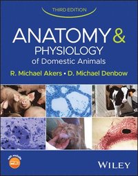 bokomslag Anatomy and Physiology of Domestic Animals