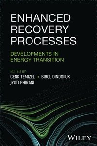 bokomslag Enhanced Recovery Processes - Developments in Ener gy Transition