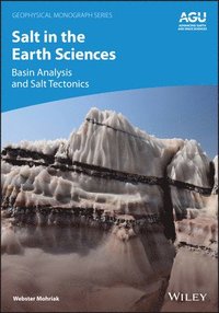 bokomslag Salt in the Earth Sciences