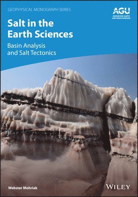 Salt in the Earth Sciences 1