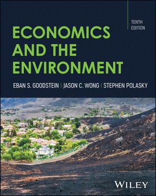 bokomslag Economics and the Environment