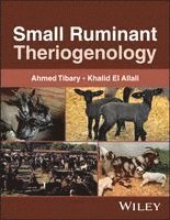 Small Ruminant Theriogenology
