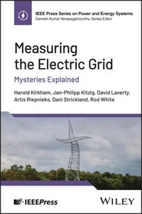 bokomslag Measuring the Electric Grid: Mysteries Explained