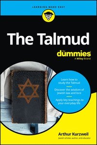 bokomslag Talmud For Dummies