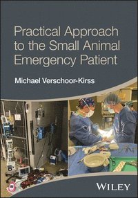 bokomslag Practical Approach to the Small Animal Emergency P atient