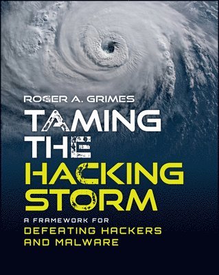 bokomslag Taming the Hacking Storm