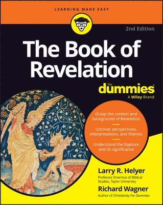 Larry R. Helyer, Larry R Helyer - Book of Revelation For Dummies, Häftad