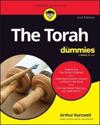 bokomslag Torah for Dummies