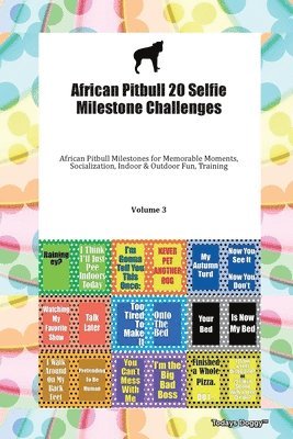 African Pitbull 20 Selfie Milestone Challenges African Pitbull Milestones For Memorable Moments, Socialization, Indoor & Outdoor Fun, Training Volume 3 1