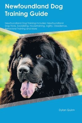 bokomslag Newfoundland Dog Training Guide Newfoundland Dog Training Includes