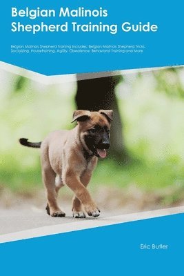 bokomslag Belgian Malinois Shepherd Training Guide