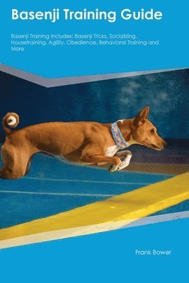 bokomslag Basenji Training Guide Basenji Training Includes