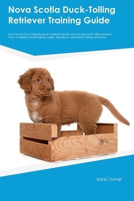 bokomslag Nova Scotia Duck-Tolling Retriever Training Guide Nova Scotia Duck-Tolling Retriever Training Includes