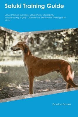 bokomslag Saluki Training Guide Saluki Training Includes