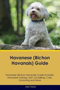 bokomslag Havanese (Bichon Havanais) Guide Havanese Guide Includes