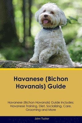 John Tucker - Havanese (Bichon Havanais) Guide Havanese Guide Includes, Häftad