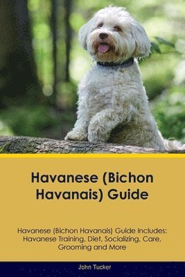 Havanese (Bichon Havanais) Guide Havanese Guide Includes 1