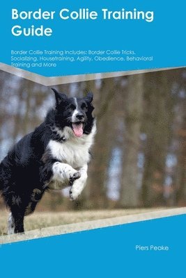 bokomslag Border Collie Training Guide Border Collie Training Includes