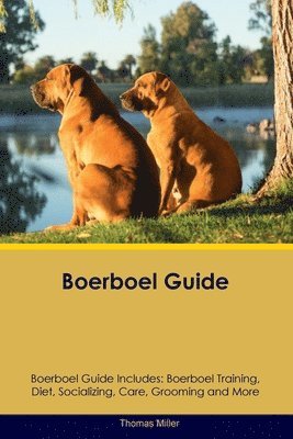 bokomslag Boerboel Guide Boerboel Guide Includes