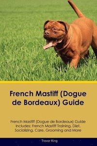 bokomslag French Mastiff (Dogue de Bordeaux) Guide French Mastiff Guide Includes