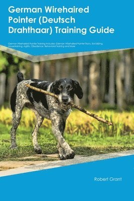 bokomslag German Wirehaired Pointer (Deutsch Drahthaar) Training Guide German Wirehaired Pointer Training Includes