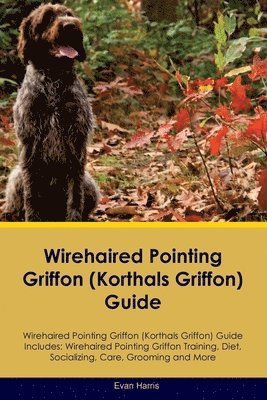 bokomslag Wirehaired Pointing Griffon (Korthals Griffon) Guide Wirehaired Pointing Griffon Guide Includes