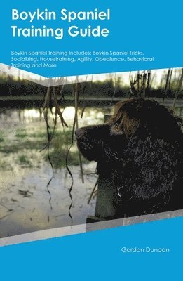 Gordon Duncan - Boykin Spaniel Training Guide Boykin Spaniel Training Includes, Häftad