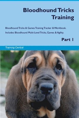 bokomslag Bloodhound Tricks Training Bloodhound Tricks & Games Training Tracker & Workbook. Includes