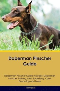 bokomslag Doberman Pinscher Guide Doberman Pinscher Guide Includes