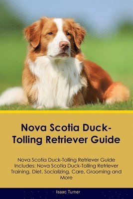 bokomslag Nova Scotia Duck-Tolling Retriever Guide Nova Scotia Duck-Tolling Retriever Guide Includes
