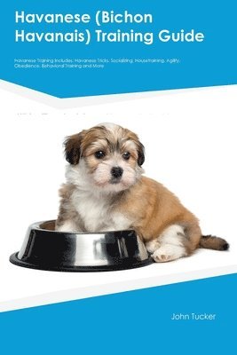 bokomslag Havanese (Bichon Havanais) Training Guide Havanese Training Includes