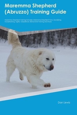 bokomslag Maremma Shepherd (Abruzzo) Training Guide Maremma Shepherd Training Includes