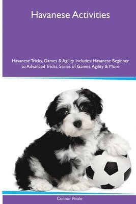 Havanese Activities Havanese Tricks, Games & Agility. Includes 1