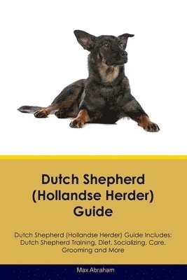 bokomslag Dutch Shepherd (Hollandse Herder) Guide Dutch Shepherd Guide Includes