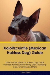bokomslag Xoloitzcuintle (Mexican Hairless Dog) Guide Xoloitzcuintle Guide Includes